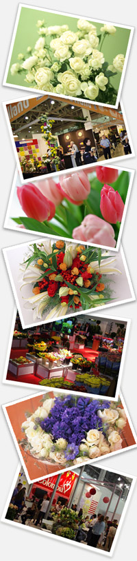 http://www.flowers-expo.ru/img/design/present_img.jpg
