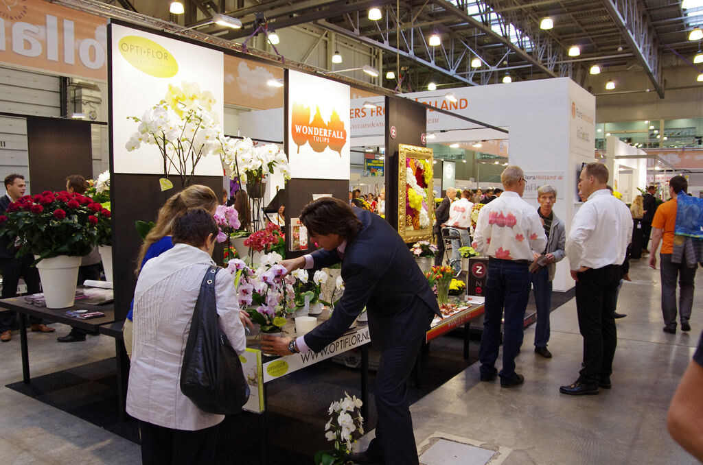 http://www.flowers-expo.ru/img/work/catalog/a_1851_320.jpg