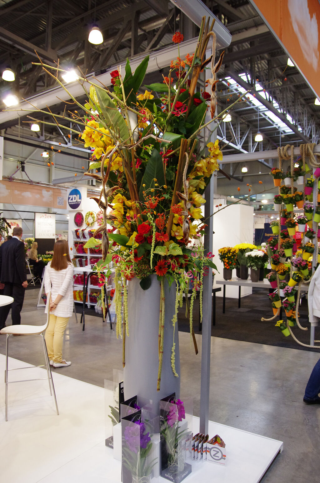 http://www.flowers-expo.ru/img/work/catalog/a_1851_324.jpg