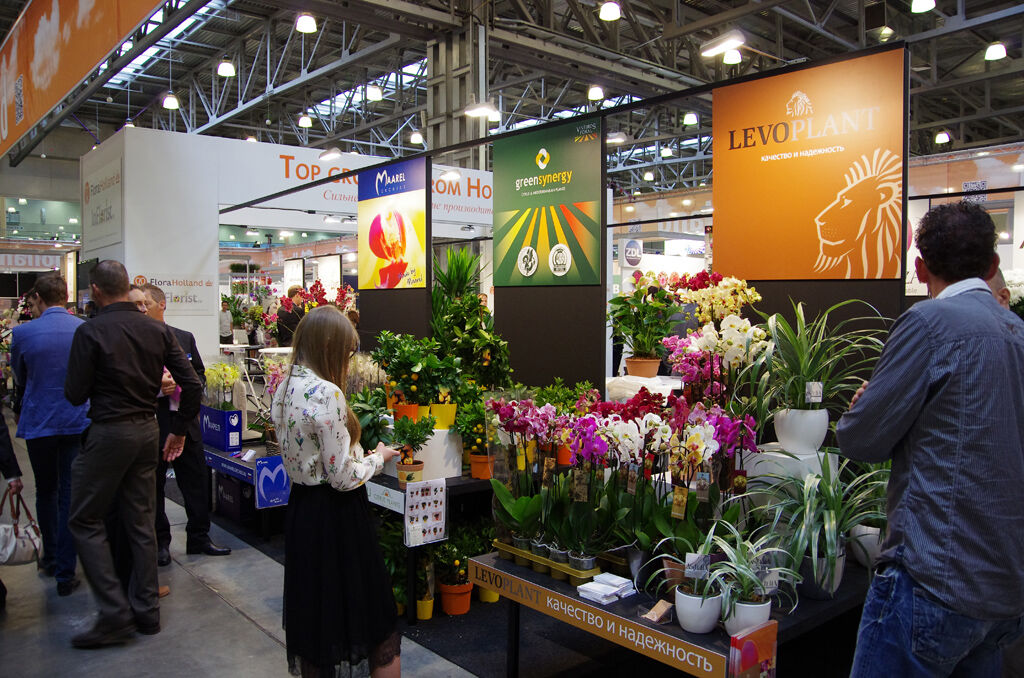 http://www.flowers-expo.ru/img/work/catalog/a_1851_327.jpg