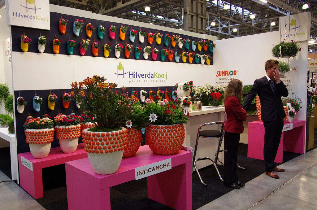 http://www.flowers-expo.ru/img/work/catalog/a_1851_329.jpg