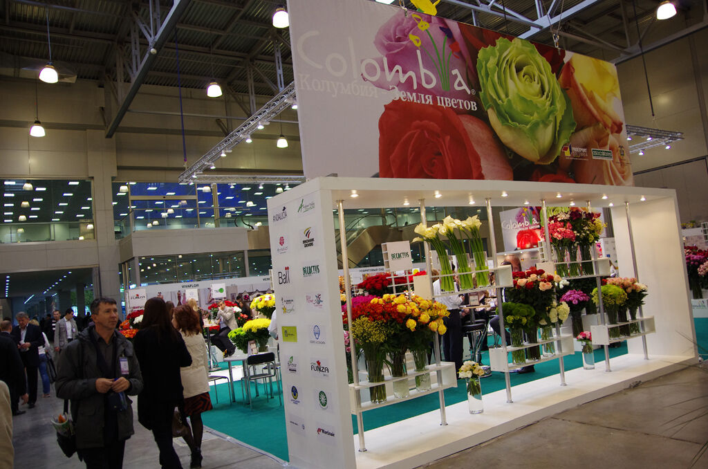 http://www.flowers-expo.ru/img/work/catalog/a_1851_331.jpg