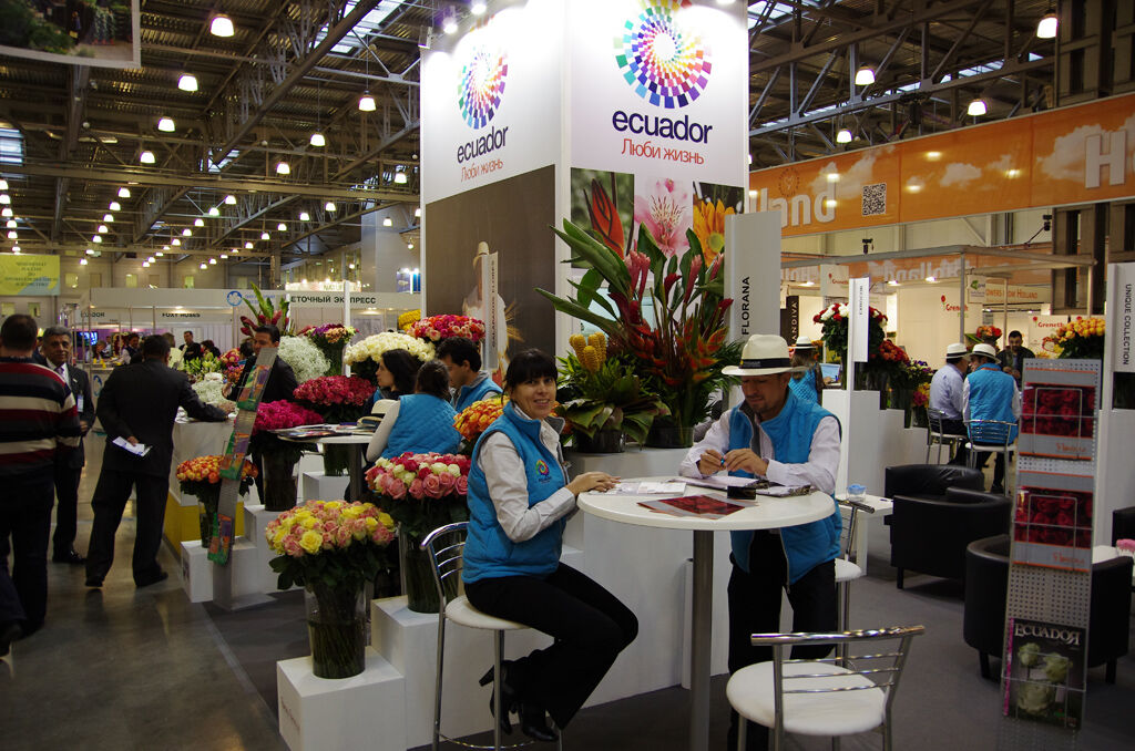 http://www.flowers-expo.ru/img/work/catalog/a_1851_333.jpg