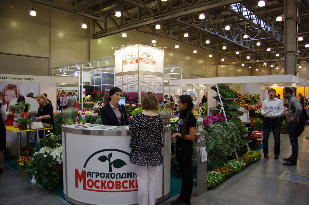 http://www.flowers-expo.ru/img/work/catalog/a_1851_334.jpg