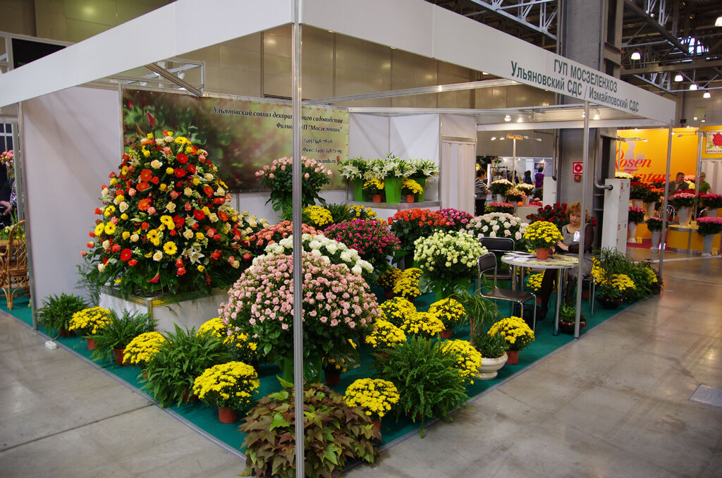 http://www.flowers-expo.ru/img/work/catalog/a_1851_335.jpg