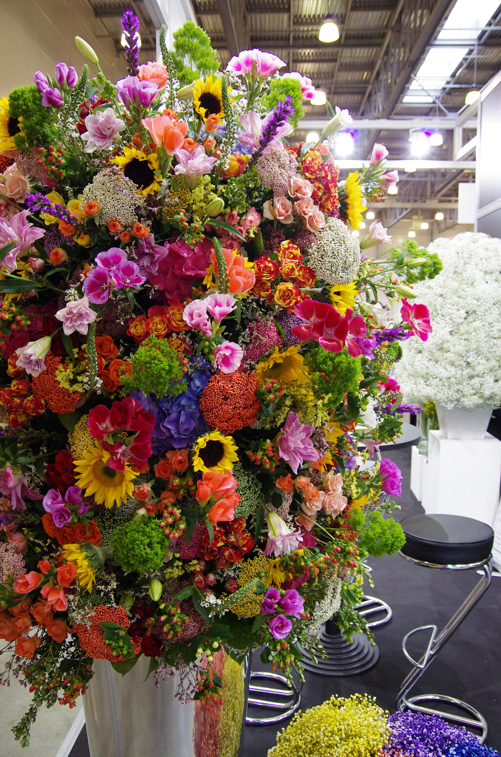 http://www.flowers-expo.ru/img/work/catalog/a_1851_343.jpg