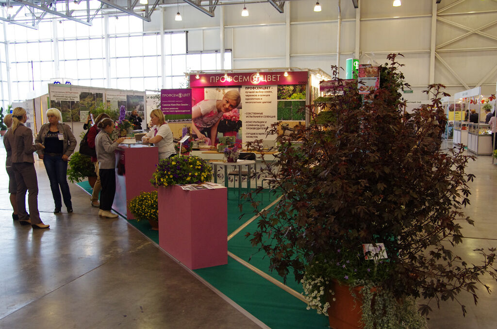 http://www.flowers-expo.ru/img/work/catalog/a_1851_350.jpg