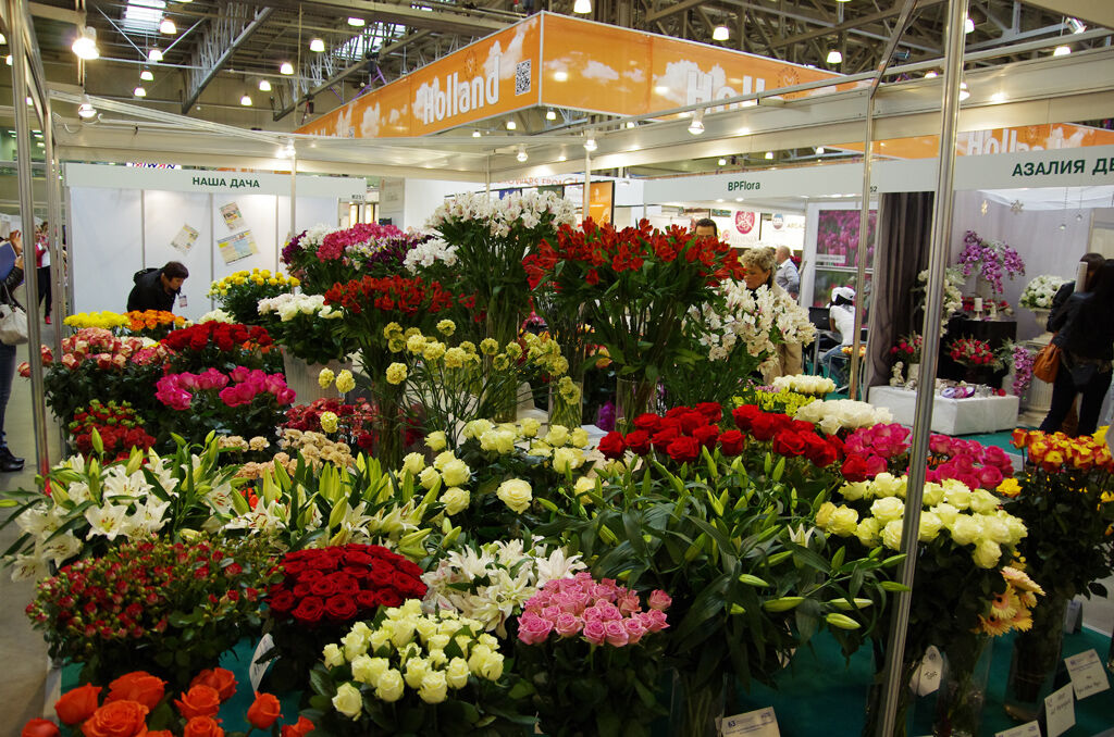 http://www.flowers-expo.ru/img/work/catalog/a_1851_358.jpg