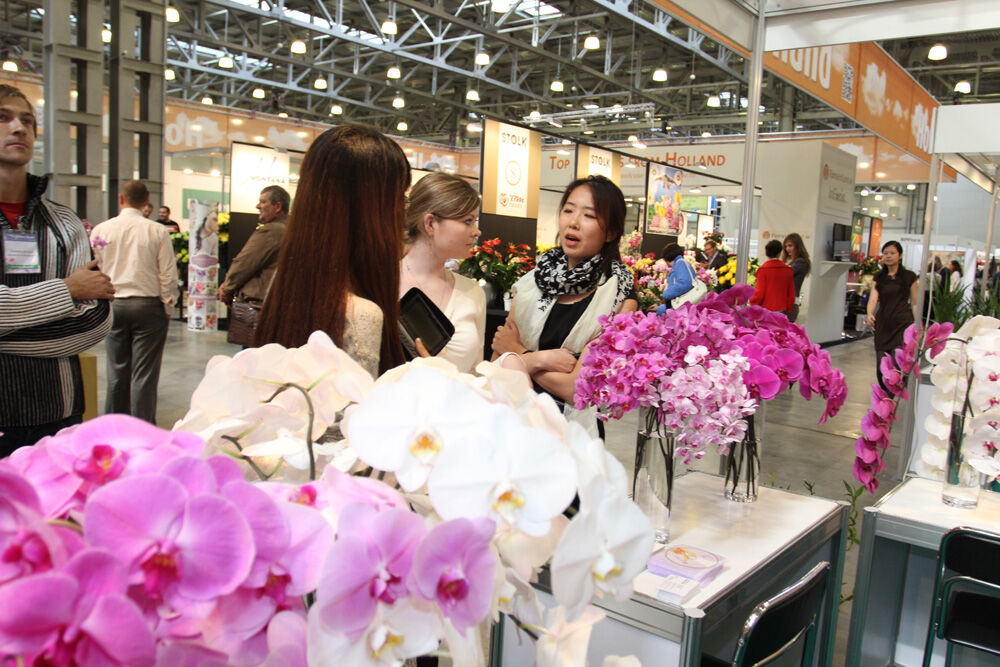 http://www.flowers-expo.ru/img/work/catalog/a_1851_523.jpg