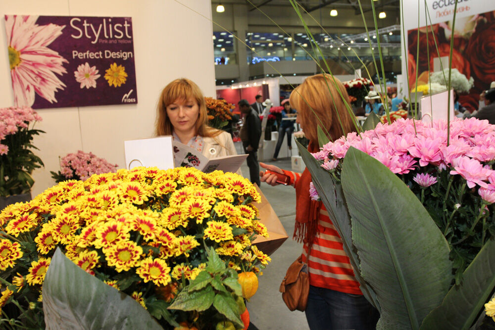 http://www.flowers-expo.ru/img/work/catalog/a_1851_528.jpg