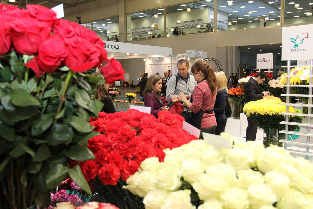 http://www.flowers-expo.ru/img/work/catalog/a_1851_529.jpg