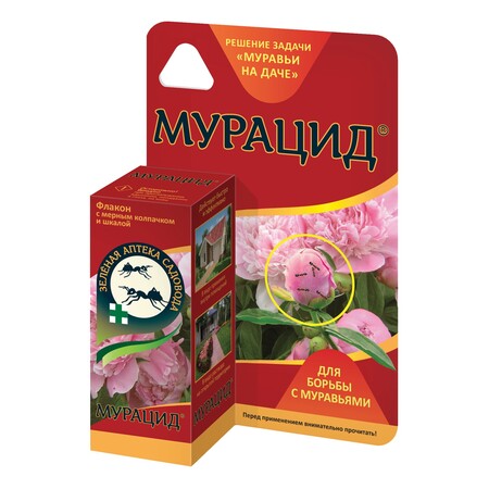 МУРАЦИД