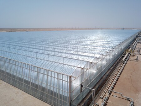 Henan Yutuo Agricultural Technology Co., Ltd