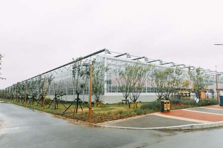 Henan Yutuo Agricultural Technology Co., Ltd