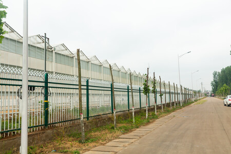 Henan Yutuo Agricultural Technology Co., Ltd