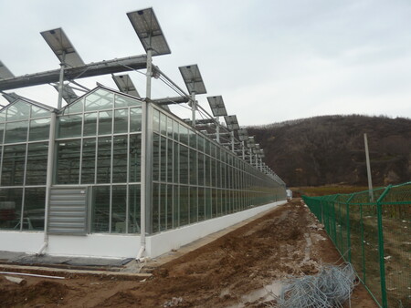 Henan Yutuo Agricultural Technology Co., Ltd