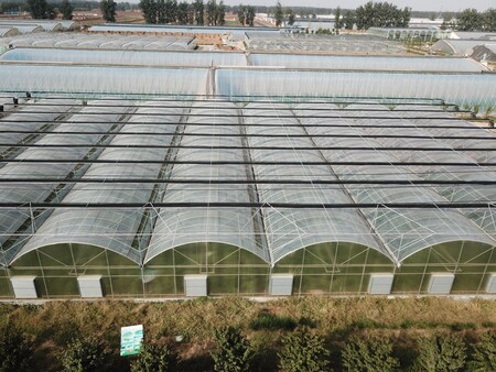Henan Yutuo Agricultural Technology Co., Ltd