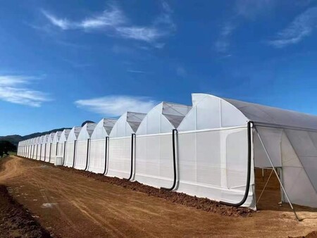 Henan Yutuo Agricultural Technology Co., Ltd