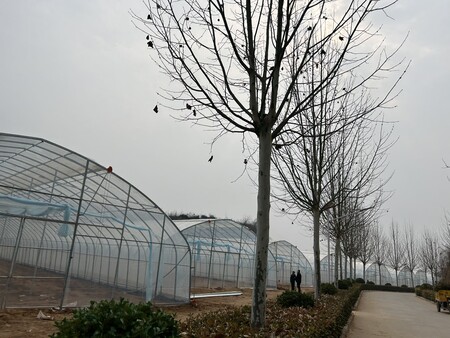 Henan Yutuo Agricultural Technology Co., Ltd