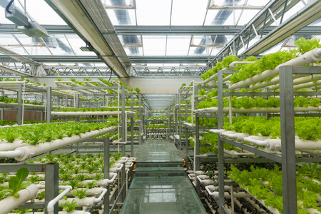 Henan Yutuo Agricultural Technology Co., Ltd