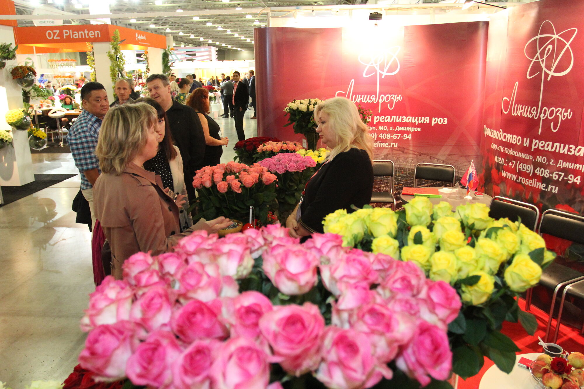 Купить розы от производителя. Производители цветов. Выставка цветы Экспо. Экспо выставка цветов розы. Выставка цветов о России.