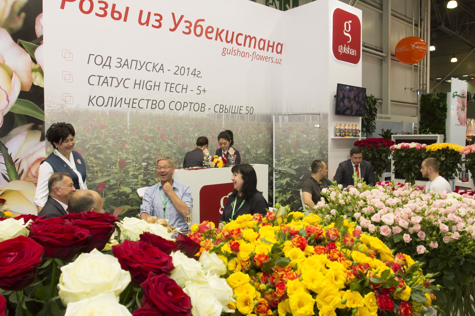 Узбекские розы. Выставка цветы Экспо. Сорта узбекских роз. Розы из Узбекистана.