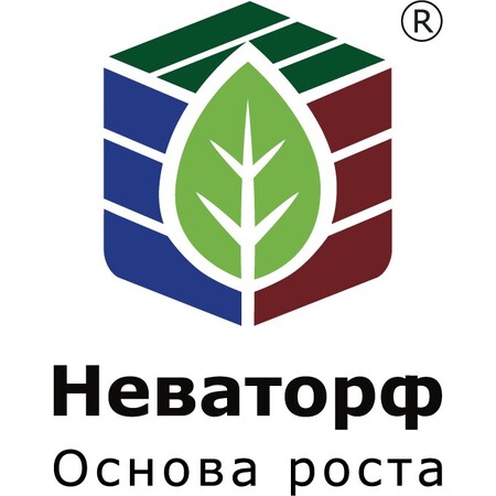 НордПалп