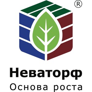 НордПалп