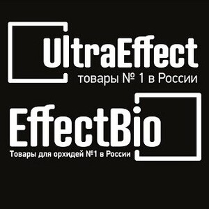 ИП Басманов Дмитрий Николаевич