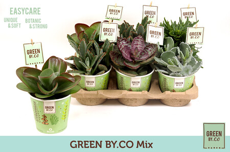 Green Plants D12 Concept Green by co Green Spyder D12