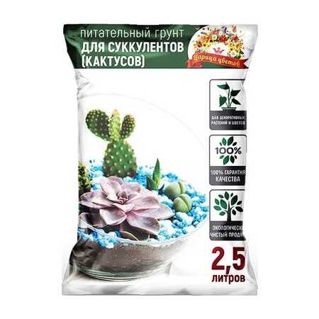 ЦАРИЦА ЦВЕТОВ ДЛЯ СУККУЛЕНТОВ