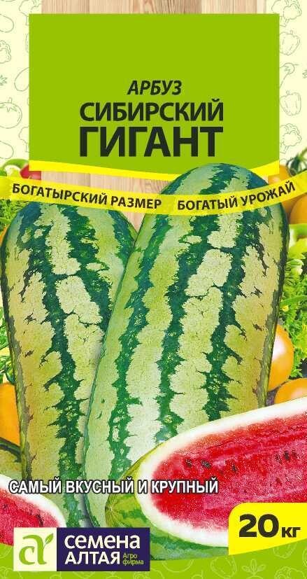 Арбуз "Сибирский гигант"