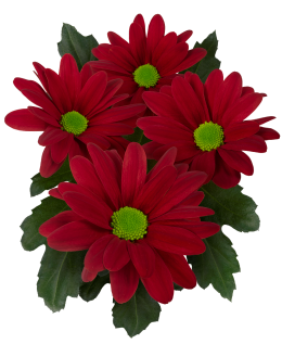 Sambal