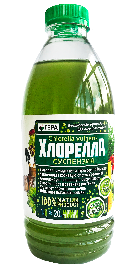 Суспензия микроводоросль Хлорелла