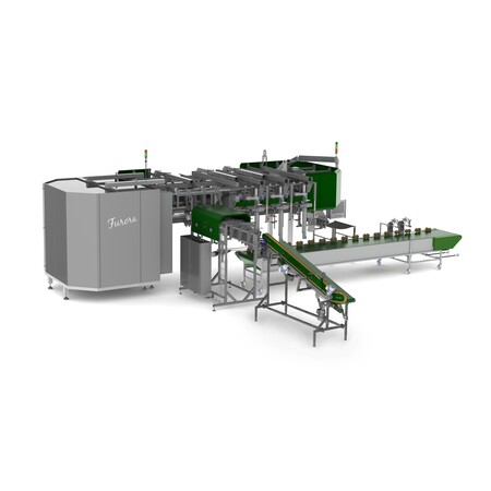 Bercomex Furora Compact линия обрезки, обвязки и упаковки тюльпанов и пионов