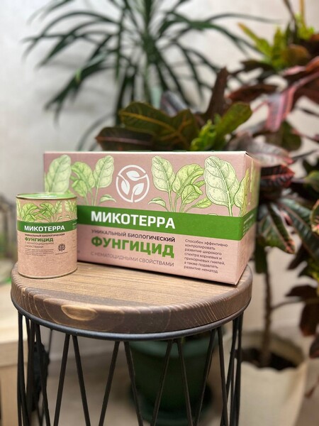 Микотерра