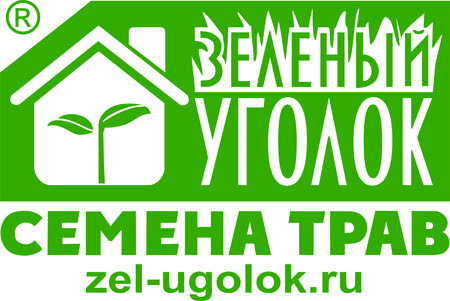 Зеленый уголок