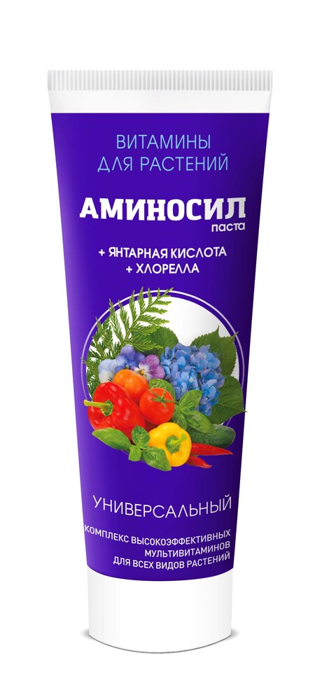 Паста АМИНОСИЛ универсальная