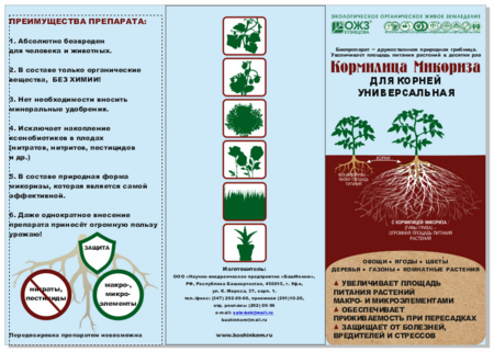 Микориза