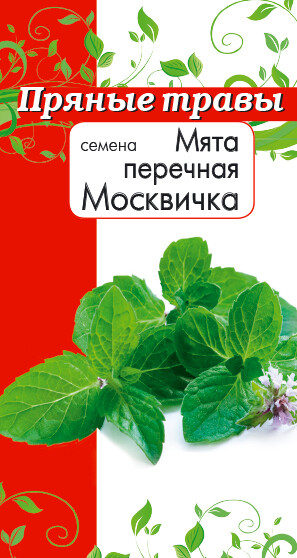 Контрактное производство семян пряных трав